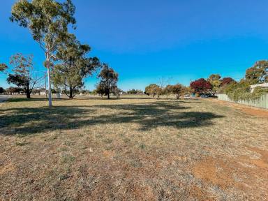 Residential Block For Sale - VIC - Kerang - 3579 - Land for Sale in Kerang  (Image 2)