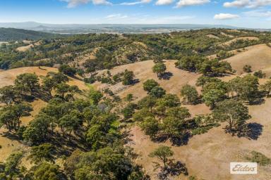 Lifestyle For Sale - VIC - Willowmavin - 3764 - A Mix of Grazing Land and Untouched Nature – 341 Hectares/843 Acres  (Image 2)