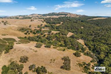 Lifestyle For Sale - VIC - Willowmavin - 3764 - A Mix of Grazing Land and Untouched Nature – 341 Hectares/843 Acres  (Image 2)