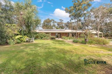 Lifestyle For Sale - VIC - Bamawm - 3561 - 2.5 ACRE RURAL RETREAT  (Image 2)