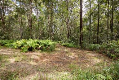 Residential Block For Sale - QLD - Verrierdale - 4562 - Natural Haven in Idyllic Location  (Image 2)