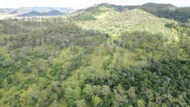 Other (Rural) For Sale - QLD - Sexton - 4570 - Devil Mountain Road  (Image 2)