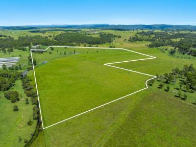 Lifestyle Sold - NSW - Woodview - 2470 - Your Dream Home's Blank Canvas  (Image 2)