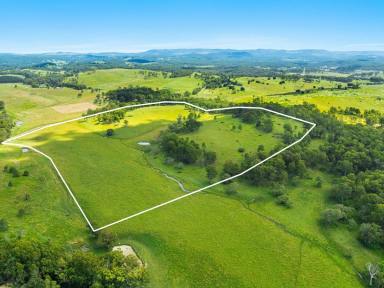 Lifestyle For Sale - NSW - Woodview - 2470 - 100 Acres - Prime Opportunity  (Image 2)