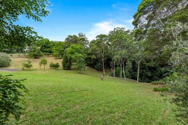 Residential Block For Sale - QLD - Mount Lofty - 4350 - Rare Vacant Land in Sought After Mount Lofty!  (Image 2)