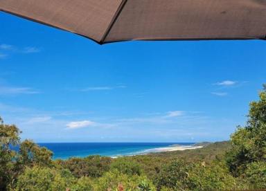 House For Sale - QLD - Fraser Island - 4581 - Orchid Beach. Unique ocean view property with rental income  (Image 2)