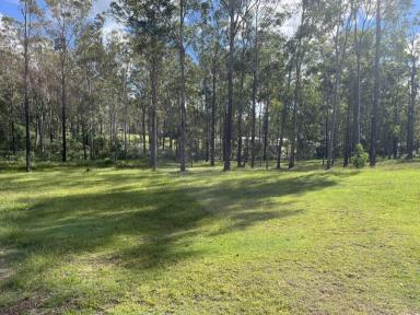 Residential Block For Sale - QLD - Bauple - 4650 - PEACE AND QUIET WITH SLAB PAD  (Image 2)