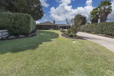 House Sold - VIC - Swan Hill - 3585 - Beautiful Home, beautiful surrounds  (Image 2)
