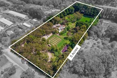 Acreage/Semi-rural For Sale - VIC - Red Hill - 3937 - Versatile Business Opportunities & Expansion Potential - Business Available to Purchase Separately with Lease  (Image 2)