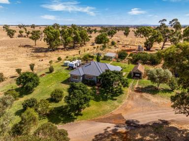 Mixed Farming For Sale - VIC - Marong - 3515 - Impressive Acreage 30 Minutes from CBD  (Image 2)