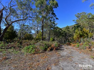 Residential Block For Sale - TAS - Fentonbury - 7140 - Large Land Parcel at Fentonbury (Image 2)