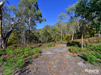 Residential Block For Sale - TAS - Fentonbury - 7140 - Large Land Parcel at Fentonbury (Image 2)