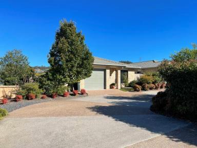 Unit For Sale - QLD - Stanthorpe - 4380 - Immaculate 2 bedroom unit.  (Image 2)
