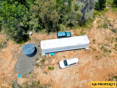 Lifestyle For Sale - NSW - Jacks Creek - 2390 - OFF-GRID BUSH BLOCK WITH CONTAINERS, SOLAR & ENDLESS FREEDOM  (Image 2)