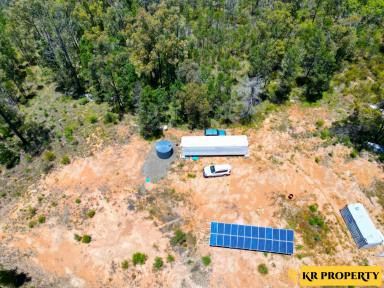 Lifestyle For Sale - NSW - Jacks Creek - 2390 - SECLUDED FOREST ACREAGE WITH CONTAINERS & SUBSTANTIAL SOLAR ARRAY  (Image 2)