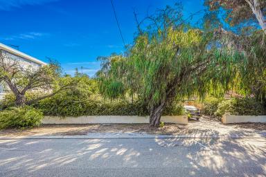 House For Sale - WA - Mount Hawthorn - 6016 - Offers  (Image 2)