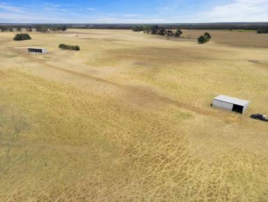 Mixed Farming Auction - VIC - Drumborg - 3304 - Prime Farming Land In High Rainfall Area  (Image 2)