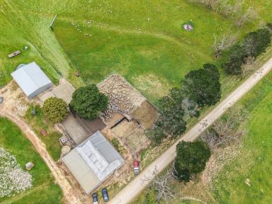 Mixed Farming Auction - VIC - Drumborg - 3304 - Prime Farming Land In High Rainfall Area  (Image 2)