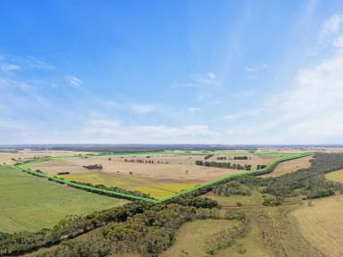 Mixed Farming Auction - VIC - Drumborg - 3304 - Prime Farming Land In High Rainfall Area  (Image 2)