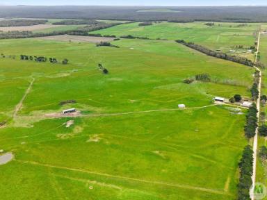 Mixed Farming For Sale - VIC - Drumborg - 3304 - Prime Farming Land In High Rainfall Area  (Image 2)