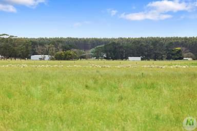 Mixed Farming For Sale - VIC - Drumborg - 3304 - Prime Farming Land In High Rainfall Area  (Image 2)