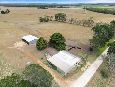 Mixed Farming Auction - VIC - Drumborg - 3304 - Prime Farming Land In High Rainfall Area  (Image 2)