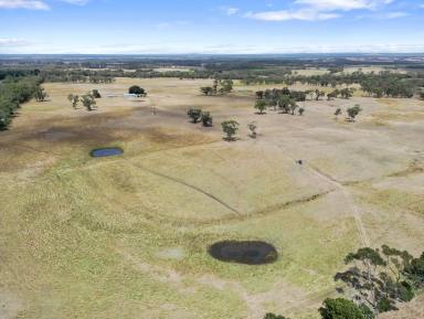 Mixed Farming Auction - VIC - Drumborg - 3304 - Prime Fattening Country With Reliable Rainfall  (Image 2)