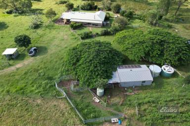 House For Sale - QLD - Paterson - 4570 - ACREAGE LIVING AT ITS FINEST!  (Image 2)