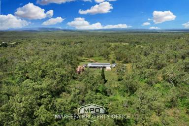 Lifestyle For Sale - QLD - Biboohra - 4880 - 57 ACRES - PRIVATE & ELEVATED HIDEAWAY  (Image 2)