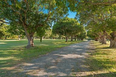 Residential Block For Sale - QLD - Tinana - 4650 - Your Dream Acreage Awaits at Central Acres Estate  (Image 2)