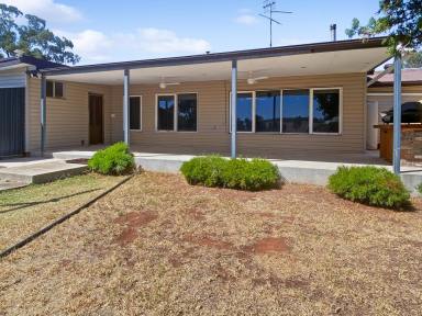 House For Sale - NSW - Ardlethan - 2665 - THIS VIEW COULD BE YOURS  (Image 2)