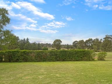 House For Sale - NSW - Ardlethan - 2665 - THIS VIEW COULD BE YOURS  (Image 2)