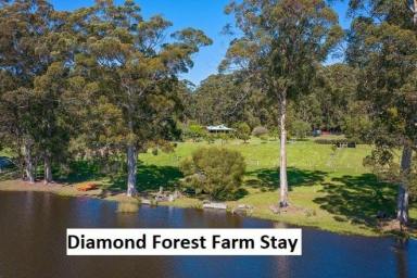 Lifestyle Sold - WA - Middlesex - 6258 - RARE OPPORTUNITY TO OWN A STUNNING, AWARD-WINNING SOUTHERN FORESTS FARM STAY- WIWO  (Image 2)