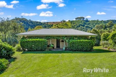 Other (Rural) Sold - NSW - Gloucester - 2422 - 'Harlos Farm' - Must be sold  (Image 2)