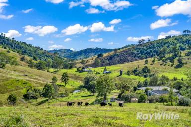 Other (Rural) Sold - NSW - Gloucester - 2422 - 'Harlos Farm' - Must be sold  (Image 2)