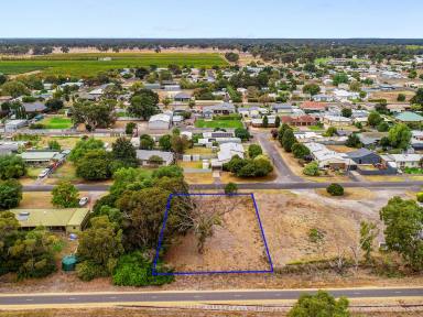 Residential Block For Sale - SA - Penola - 5277 - Great building opportunity in quiet Penola location  (Image 2)