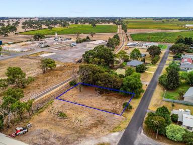 Residential Block For Sale - SA - Penola - 5277 - Great building opportunity in quiet Penola location  (Image 2)