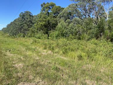 Residential Block For Sale - NSW - Hillville - 2430 - Small acres midway between Hillville and Possum Brush  (Image 2)