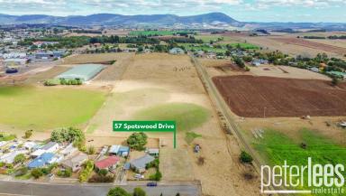 Residential Block For Sale - TAS - Scottsdale - 7260 - Great block for a first home builder  (Image 2)