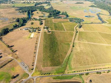Viticulture For Sale - VIC - Yarra Glen - 3775 - RENOWNED YARRA VALLEY ASSET  (Image 2)