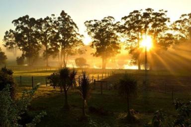 Business For Sale - WA - Manjimup - 6258 - Unique Farm Stay Accommodation Business on 50 Acres, NO GST, selling WIWO  (Image 2)