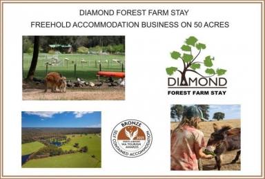 Business For Sale - WA - Manjimup - 6258 - Unique Farm Stay Accommodation Business on 50 Acres, NO GST, selling WIWO  (Image 2)