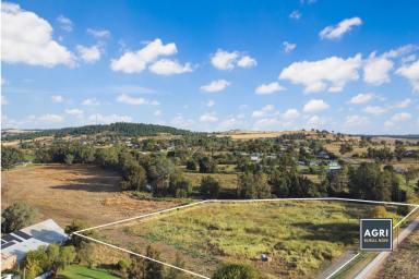 Other (Rural) For Sale - NSW - Canowindra - 2804 - 4.05 acre high productive land, located in the heart of Canowindra!  (Image 2)