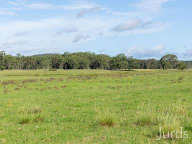 Livestock For Sale - NSW - East Seaham - 2324 - Erehwon - 257 Acres of Prime River Front Country  (Image 2)
