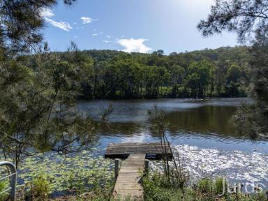 Livestock For Sale - NSW - East Seaham - 2324 - Erehwon - 257 Acres of Prime River Front Country  (Image 2)