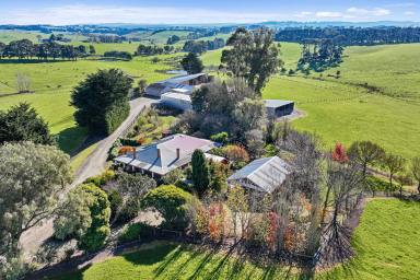 Other (Rural) For Sale - VIC - Mardan - 3953 - A MARDAN MARVEL  (Image 2)