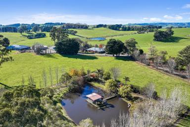 Other (Rural) For Sale - VIC - Mardan - 3953 - A MARDAN MARVEL  (Image 2)