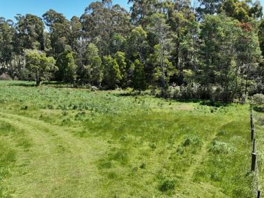 Residential Block For Sale - TAS - Abbotsham - 7315 - Building the dream  (Image 2)