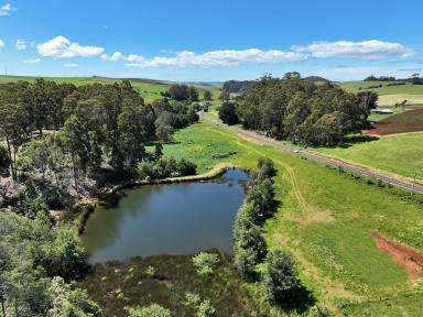 Residential Block For Sale - TAS - Abbotsham - 7315 - Building the dream  (Image 2)