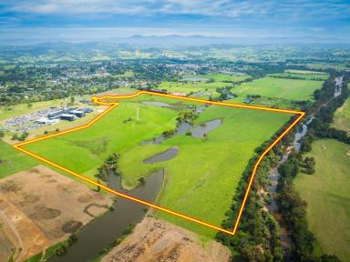 Residential Block Sold - NSW - Bega - 2550 - BUILDING ENTITLEMENT, WATER, 131 ACRES!  (Image 2)